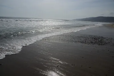 DSC_2282 (Large).JPG